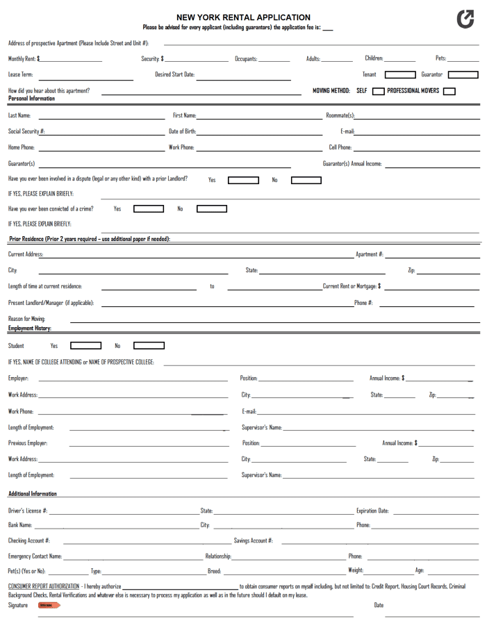 New York Rental Application preview