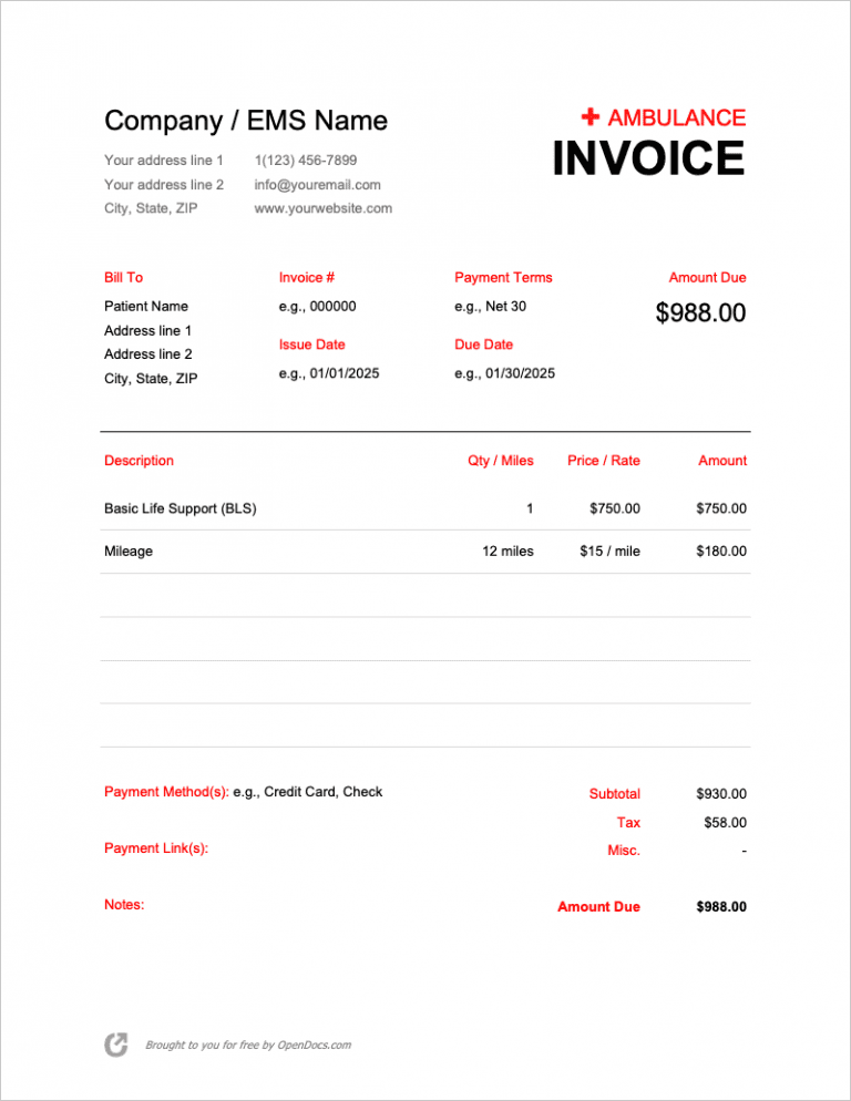 Ambulance Invoice Template preview